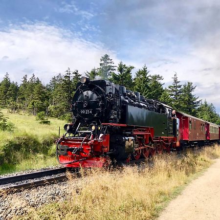 Fewo Schlossblick #Innenstadt #Garten #Netflix Von Harztraveler Wernigerode Eksteriør bilde