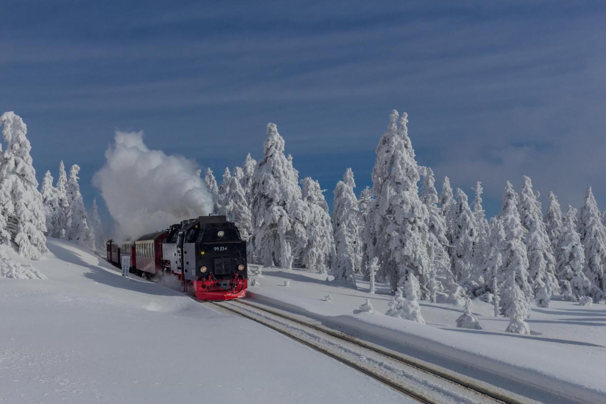 Fewo Schlossblick #Innenstadt #Garten #Netflix Von Harztraveler Wernigerode Eksteriør bilde